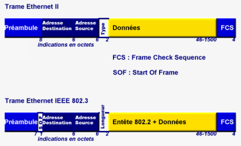 Formats des trames